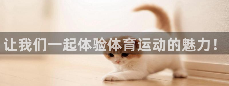 中山熊猫体育：让我们一起体验体育运动的魅力！