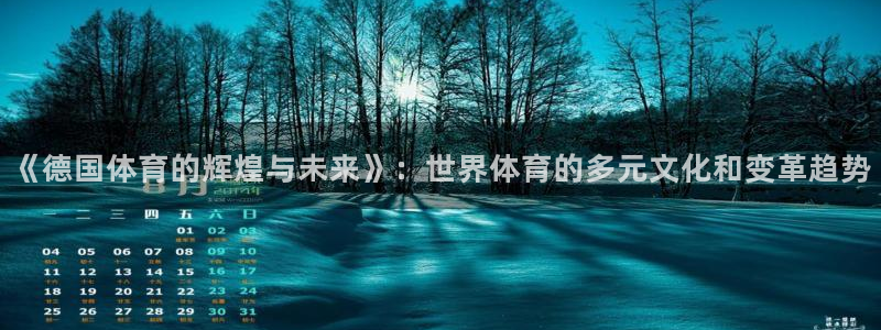 熊猫体育sports：《德国体育的辉煌与未来》：世界体育的多元文化和变革趋势