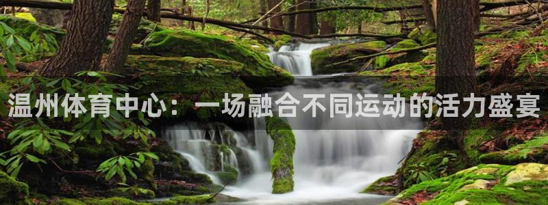 熊猫体育在线：温州体育中心：一场融合不同运动的活力盛宴