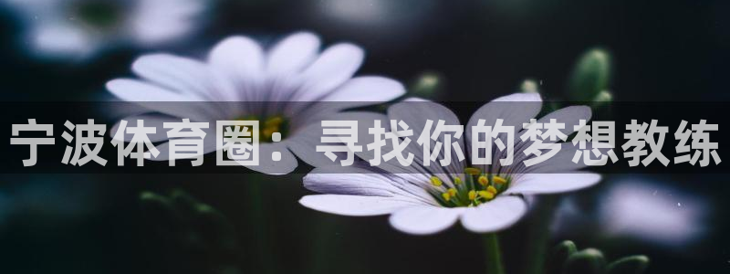 熊猫体育v3.新网页.org：宁波体育圈：寻找你的梦想教练