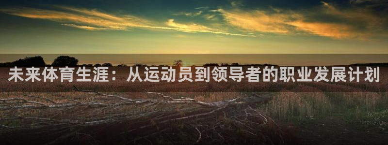 熊猫体育nba：未来体育生涯：从运动员到领导者的职业发展计划