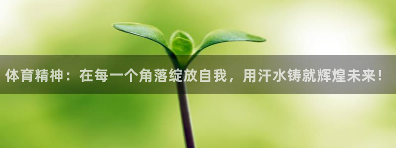 熊猫体育免费下载：体育精神：在每一个角落绽放自我，用汗水铸就辉煌未来！