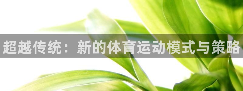 熊猫体育网址：超越传统：新的体育运动模式与策略